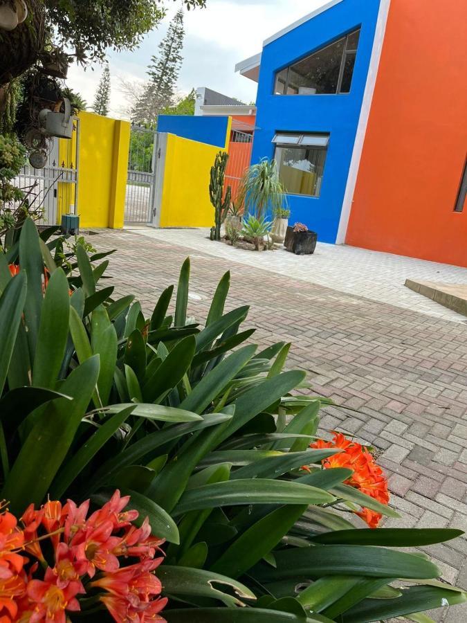 Studio 7 On Risa بورت اليزابيث المظهر الخارجي الصورة